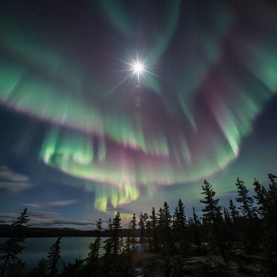 IMAGEN de una estrella y RAYOS BOREALES