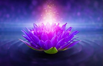 La Flor de Loto: Un Símbolo de Espiritualidad y Renovación - mandalabisuteria.com
