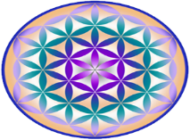 flordelavida, la flor de la vida, consciencia, campomorfico, Angel Baña